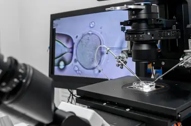 in vitro