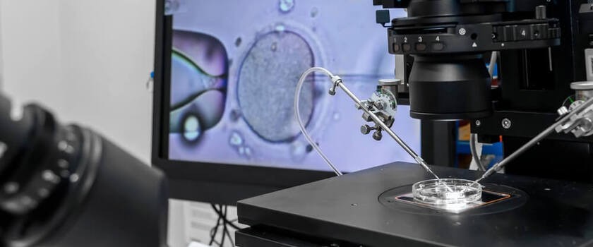 in vitro