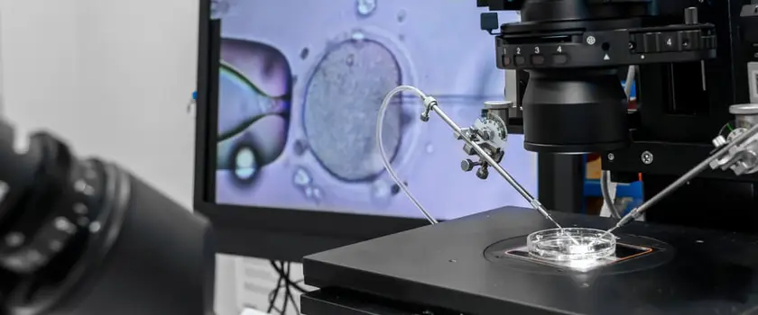 in vitro