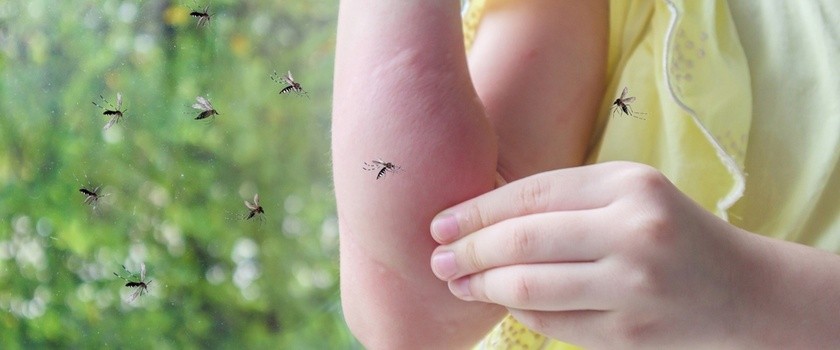 dziecko ugryzione przez komara