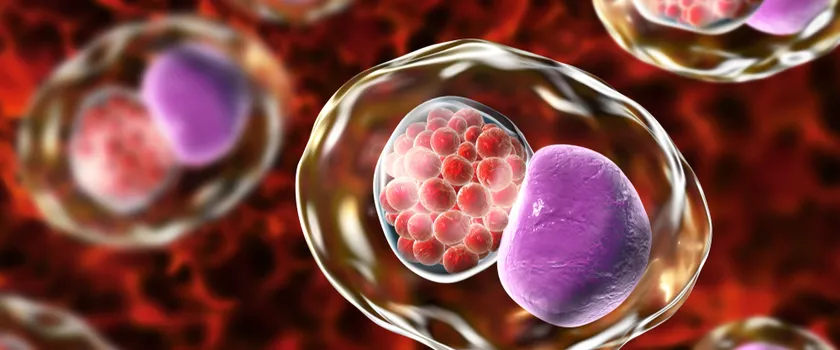 bakterie chlamydia pneumoniae, ilustracja 3D