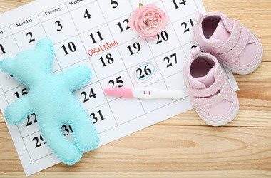 Kalendarz z zaznaczonym dniem owulacji. Niebieski misiu oraz różowe buciki leżące na stole.