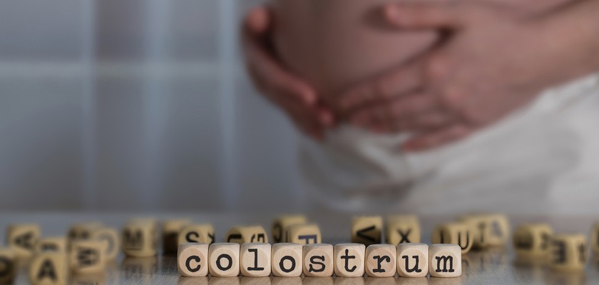 Czym jest colostrum Właściwości i zastosowanie