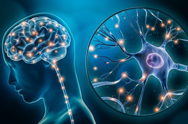 ludzki mózg i połączenia nerwowe