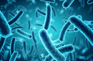 Co oznaczają bakterie w moczu? Kiedy diagnozuje się bakteriomocz?
