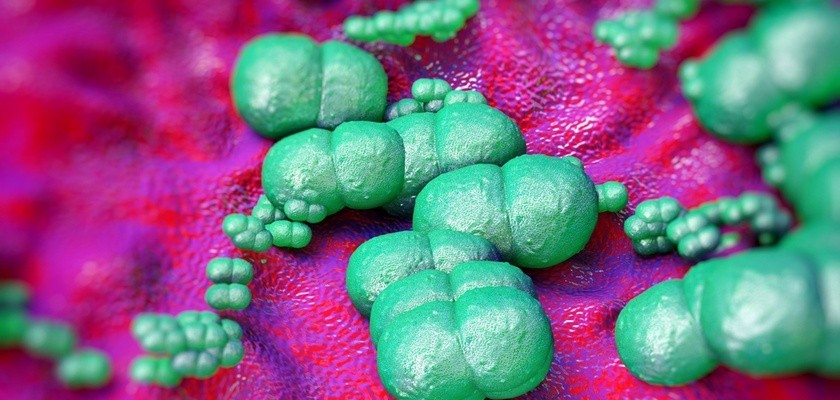 Jak można zarazić się gronkowcem skórnym? Przyczyny, objawy, leczenie choroby