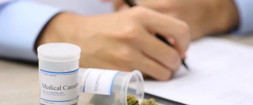 Czym właściwie jest marihuana medyczna – działanie i wskazania