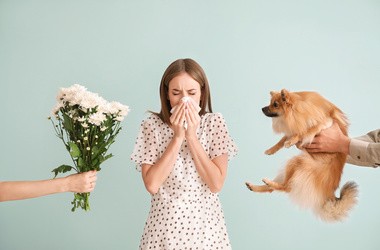 Kobieta dmuchająca w chusteczkę z powodu alergii. Z jednej strony kobiecie są podawane kwiaty,  z drugiej pies.