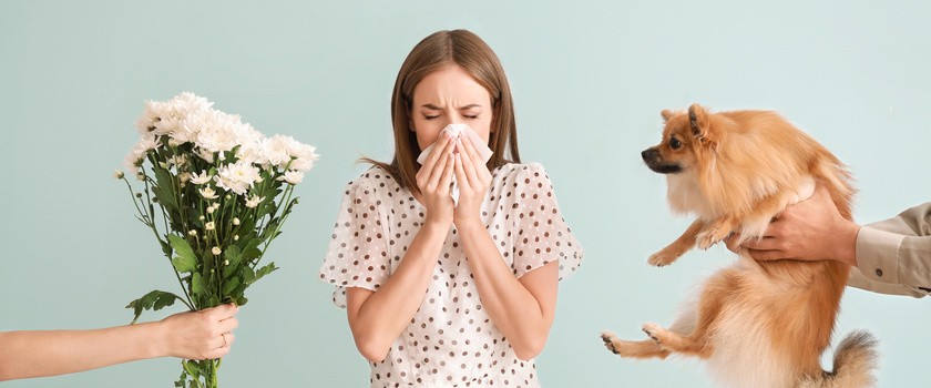 Kobieta dmuchająca w chusteczkę z powodu alergii. Z jednej strony kobiecie są podawane kwiaty,  z drugiej pies.