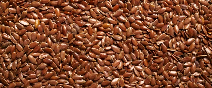 nasiona siemienia lnianego