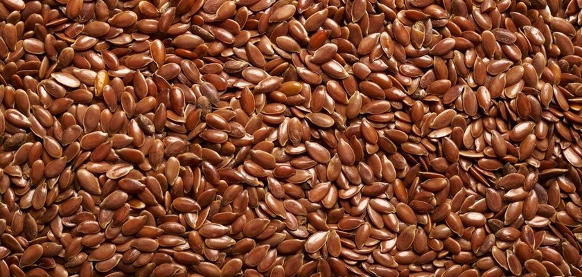 nasiona siemienia lnianego