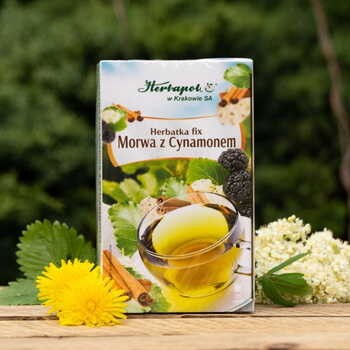 Herbapol Kraków, herbatka fix morwa z cynamonem, 20 x 2 g