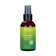 Benecos Natural, naturalny dezodorant w sprayu z organicznym aloesem, 75 ml