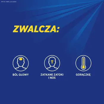Theraflu Zatoki, 650 mg+10 mg, proszek do sporządzenia roztworu doustnego, 14 saszetek