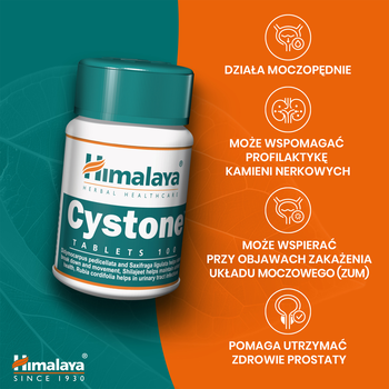 Himalaya Cystone, tabletki, 100 szt.