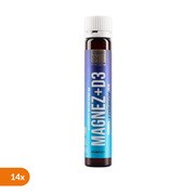 Zestaw 14 x Triggy VitaminShot Magnez + D3