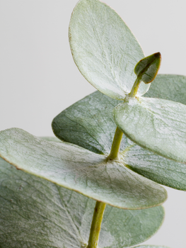 Sundose For Stress Relief, kapsułki, 30 szt. + 90 szt.