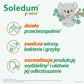 Soledum Junior, 100 mg, kapsułki dojelitowe miękkie, 20 szt.