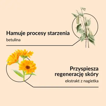 Sylveco, krem brzozowo-nagietkowy z betuliną, 50 ml