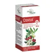 Cravisol, płyn, 100 ml