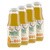Zestaw 4x Plan by DOZ Smoothie o smaku dynia, kokos, 300 ml