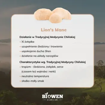 Biowen, Lion's mane, kapsułki, 90 szt.