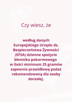 Omni Logic Fibre, proszek, 250 g