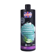 Ronney Aloe Ceramides, szampon nawilżający, włosy matowe i suche, 1000 ml
