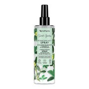 Vis Plantis, wzmacniający spray do włosów, 200 ml