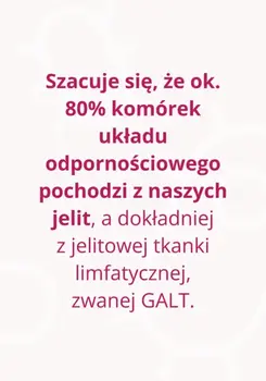 Omni Biotic 6, saszetki z proszkiem, 3 g x 7 szt.