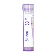 Boiron Silicea, 30 CH, granulki, 4 g