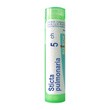 Boiron Sticta pulmonaria, 5CH, granulki, 4g
