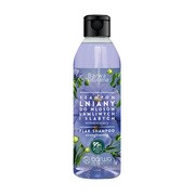 Barwa Naturalna, Szampon Lniany  do włosów łamliwych i słabych, 300 ml