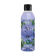 Barwa Naturalna, Szampon Lniany  do włosów łamliwych i słabych, 300 ml