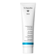 Dr. Hauschka, Ice Plant Shampoo, szampon do włosów z przypołudnika, 150 ml