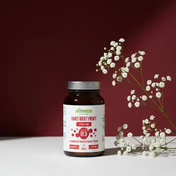 Biowen Kwas nikotynowy Witamina B3, proszek, 120 g