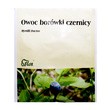 Owoc borówki czernicy, zioło pojedyncze, 25 g (Flos)