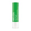 Weleda Skin Food, sztyft, do ust, 4,8 g