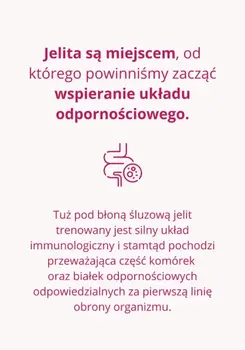 Omni Biotic Pro-Vi 5, saszetki z proszkiem, 2 g x 30 szt.