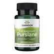 Swanson Full Spectrum Purslane, kapsułki, 60 szt.