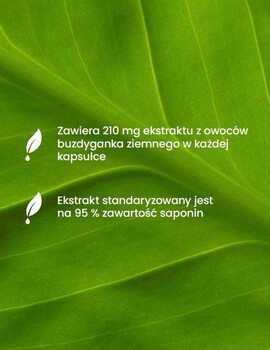 Essensey Tribido Max Tribulus, kapsułki, 90 szt.