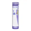 Boiron Mercurius solubilis, 30CH, granulki, 4g