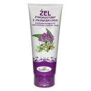 Gorvita, żel żywokostowy z jałowcem i MSM, 200 ml