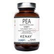 PEA Palmitoiloetanoloamid Levagen+, kaps., 60 szt