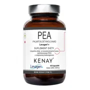PEA Palmitoiloetanoloamid Levagen+, kaps., 60 szt