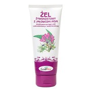 Gorvita, żel żywokostowy z jałowcem i MSM, 200 ml