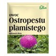 Flos Owoc ostropestu plamistego, zioła do zaparzania, 100 g
