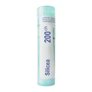 Boiron Silicea, 200CH, granulki, 4 g