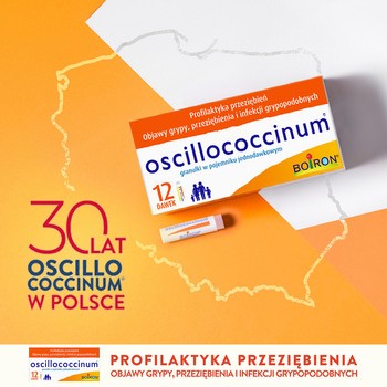 Oscillococcinum na przeziębienie i grypę, granulki, 12 pojemników jednodawkowych po 1 g