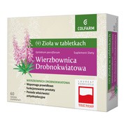 Wierzbownica drobnokwiatowa, tabletki powlekane, 60 szt.